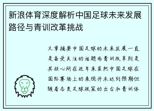新浪体育深度解析中国足球未来发展路径与青训改革挑战